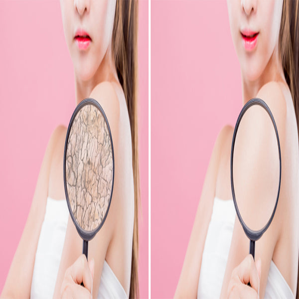 Tools &amp; Accessories